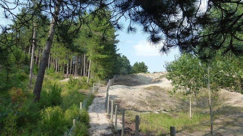 Hamac - Vue Mer - 100M Plage Berck Bagian luar foto