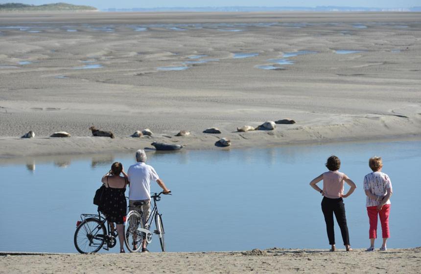 Hamac - Vue Mer - 100M Plage Berck Bagian luar foto